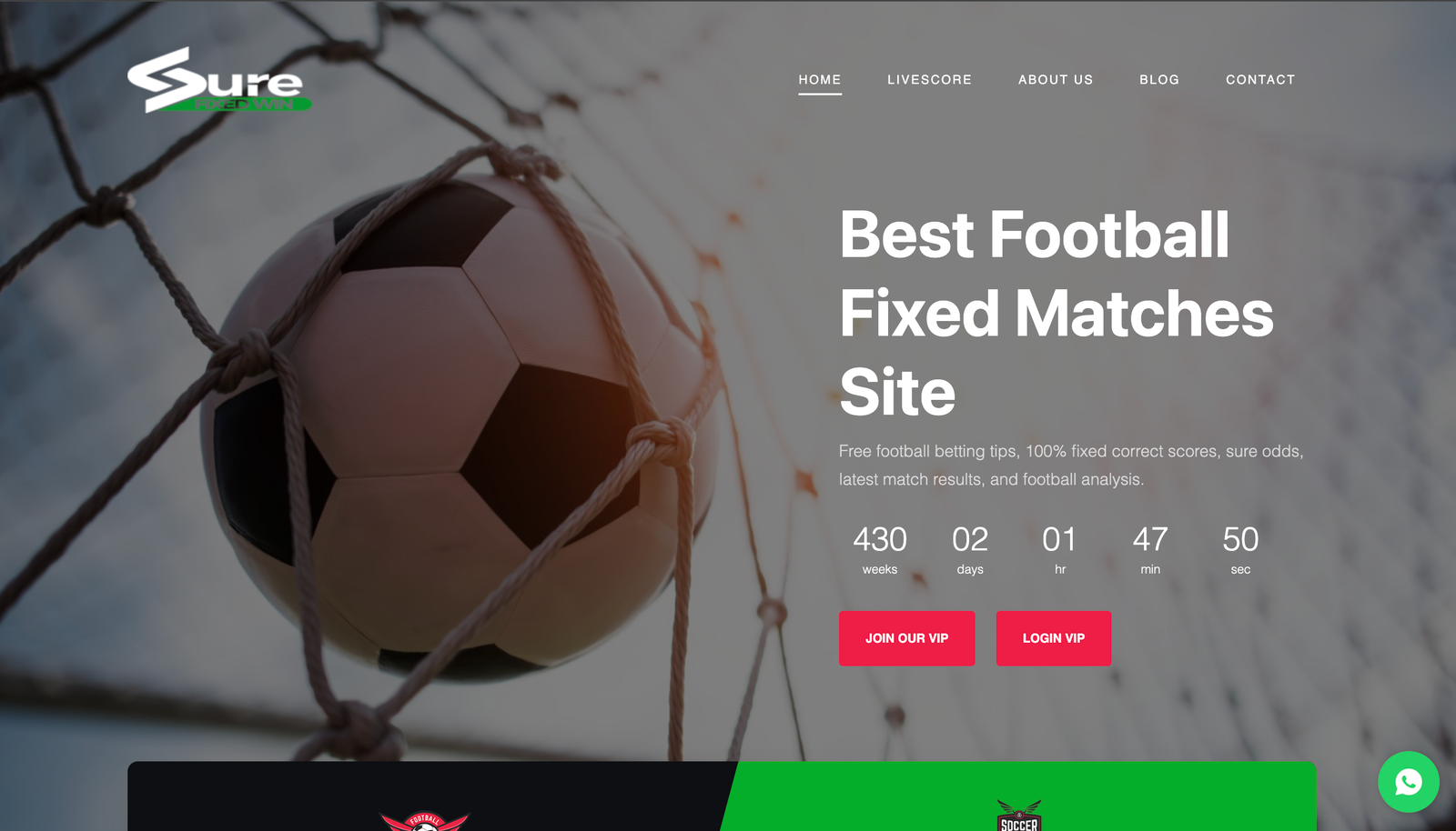 Personal Portfolio Images